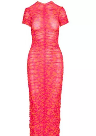 Raye Ruched Maxi Mesh Dress