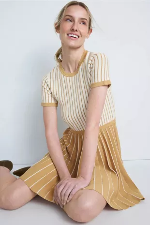 Two Tone Pleated Mini Dress