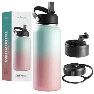 Brewberry Stainless Steel Insulated Water Bottle and Travel