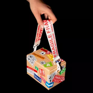 The Shipping Box Bag 1