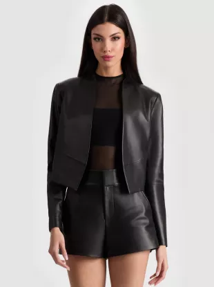 New Harvey Leather Jacket