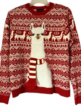 Baylen Out Loud S03 Baylen Dupree Christmas Sweater