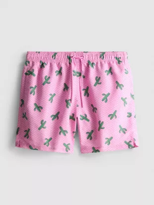 Zig Zag Cactus Swimming Shorts