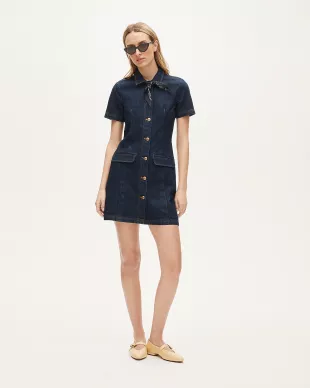 Parc Dress in denim