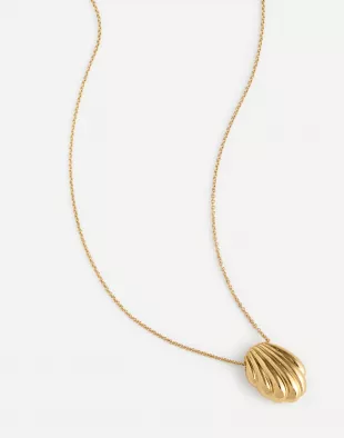 Seashell Pendant Necklace