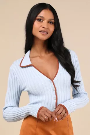 Curated Season Blue Collared Sweater Top