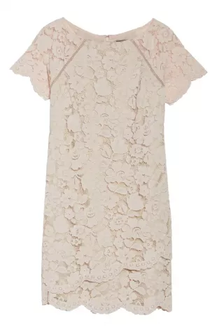 Lace Popover Shift Dress