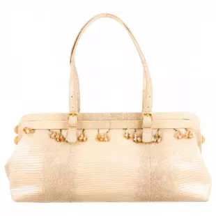 Lizard Embossed Bag
