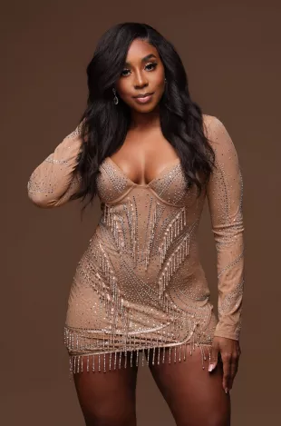 Show Stopper Mini Dress