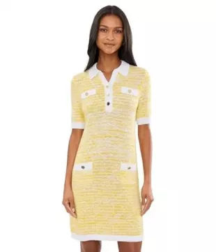 Theodorah Polo Sweaterdress