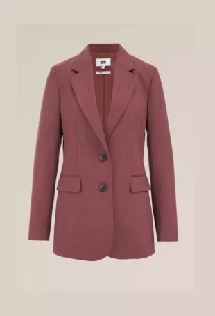 Dames Regular Fit Blazer We Fashion