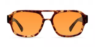 Shipo Sunglasses