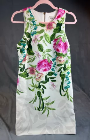 Placed Floral Print Stretch A-Line Dress
