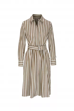 Kodak Stripe Belted Cotton Poplin Shirtdress