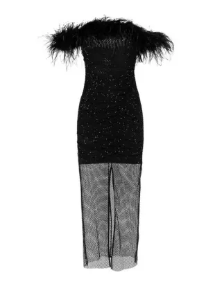 Dress With Feathers