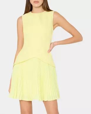 Haddy Pleated Minidress