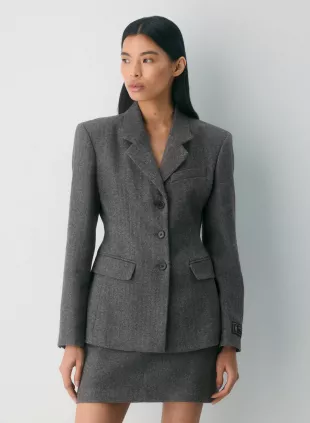 Babaton Standout Blazer