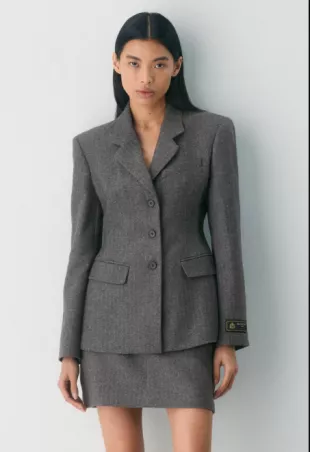 Babaton Standout Blazer