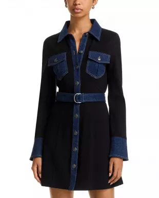 Aliza Denim Trim Long Sleeve Dress