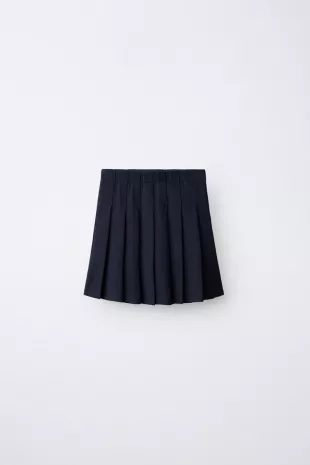 Solid Pleated Skirt