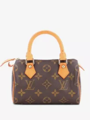 Pre-Owned Speedy Mini HL Handbag