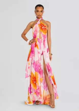 Ina Printed Crepe de Chine Halterneck Maxi Dress