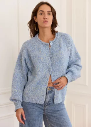 Heather Blue Wool Vest with Long Sleeves and a round Neck