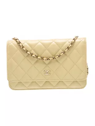 Iridescent Mini Wallet On Chain