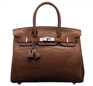 Matte Marron D’Inde Niloticus Crocodile Birkin Bag