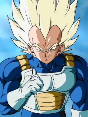 Saiyan Armor Vest