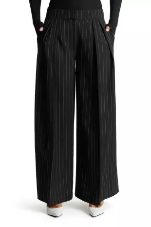 Pinstripe Wide Leg Pants