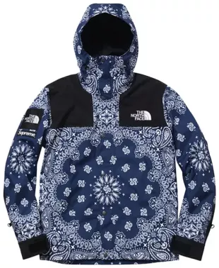 Supreme x the north Face Bandana Mountain Jacket