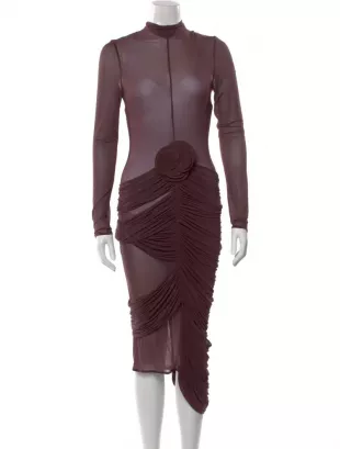 Long Sleeve Sheer Midi Dress