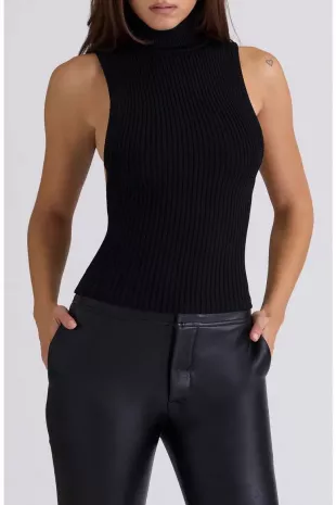 Dina Backless Rib Turtleneck Sweater