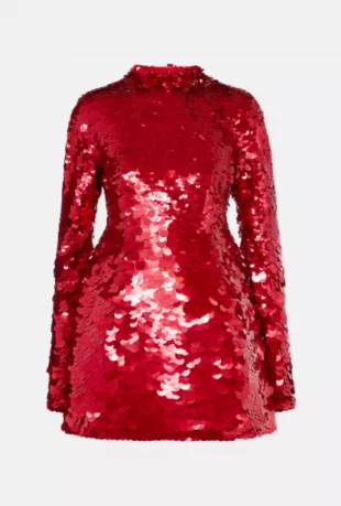 Terfrite Sequined Jersey Minidress
