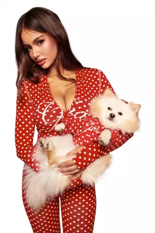 Blare Best Friend Dog Hoodie