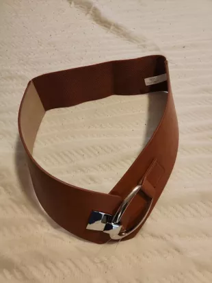 Interlocking-Hook Stretch Belt