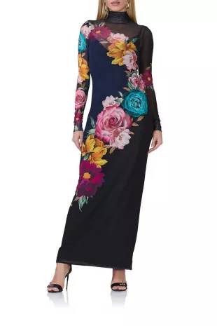 Billie Floral Print Long Sleeve Mesh Maxi Dress