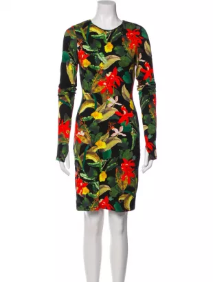 Floral Print Knee Length Dress