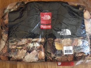 Supreme × The North Face Supremee Nuptse Jacket Leaves