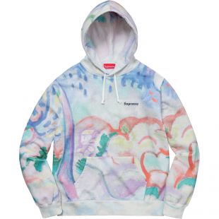 Supreme Landscape Hooded Sweatshirt Multicolor