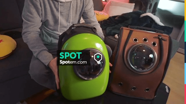 The Bag Transport Green Hublot Cat Norman In The Youtube Video The Best Gift For Cat Spotern