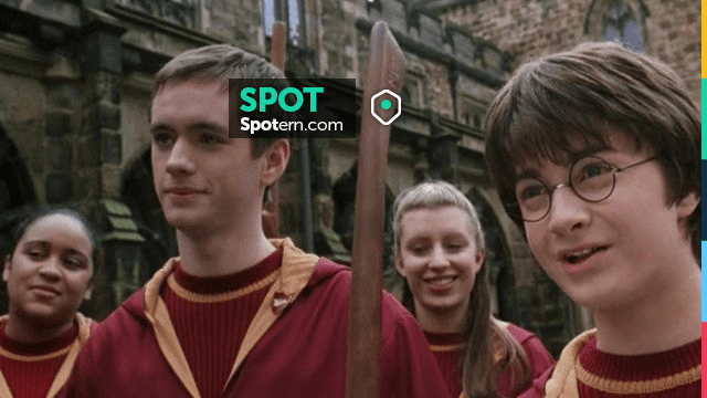 The replica of the Nimbus 2000 offered to Harry Potter (Daniel