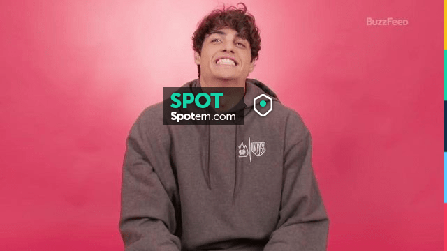 Deadstock Grey sweatshirt worn by Peter Noah Centineo as seen in the Buzzfeed interview for To All the Boys I ve Loved Before Spotern