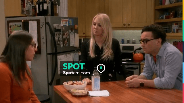 Watch the big 2025 bang theory s12e19