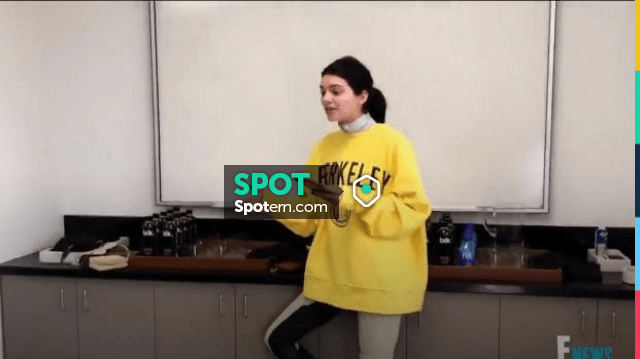 Calvin Klein Yellow Berkeley Edition University Sweatshirt worn by Kendall  Jenner in Keeping Up with the Kardashians (S16E12) | Spotern