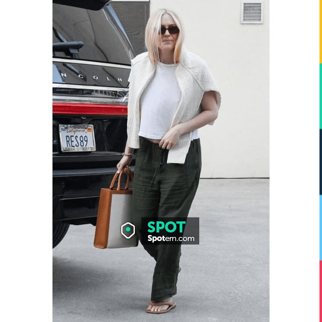 Celine Vertical Cabas Tote worn by Dakota Fanning out & About in La January  3, 2020