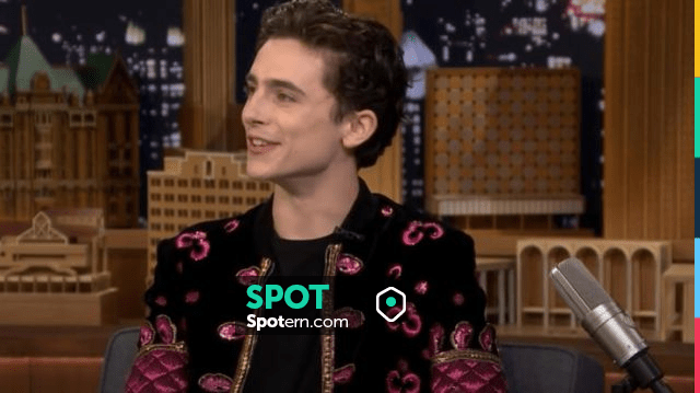 Saint Laurent Bomber Jacket worn by Timothée Chalamet in The Tonight ...