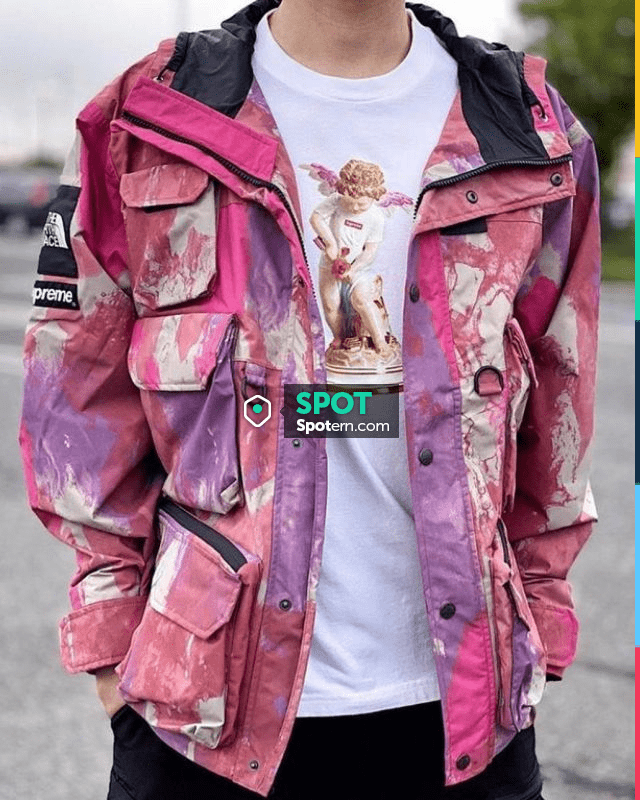 Supreme The North Face Cargo Jacket Multicolor on the account Instagram of  @stockxstreetwear | Spotern