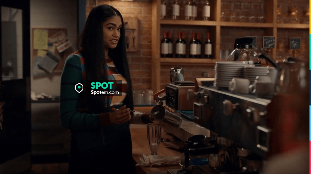 American Eagle Striped Patchwork Sweater worn by Padma (Rebecca Ablack